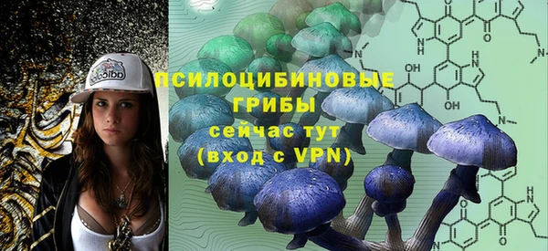 прущие грибы Каменка