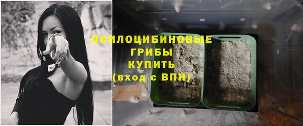 mix Белокуриха