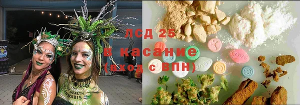 гашик Белоозёрский