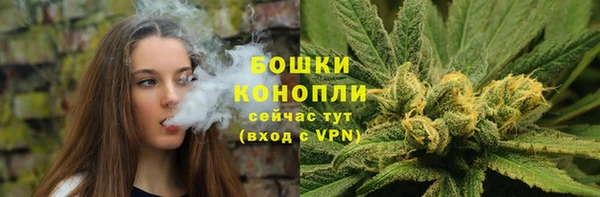 гашик Белоозёрский