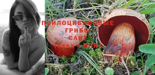 mix Белокуриха