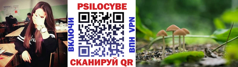 Псилоцибиновые грибы Cubensis  Краснотурьинск 